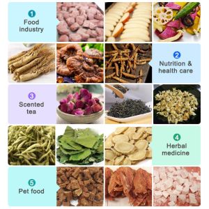 Small Lyophilizer Freeze Dryer Toption Freeze Drying And Lyophilization