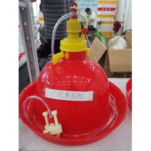 Automatic poultry pigeon dove feeder for chicken turbo feeder bucket chick