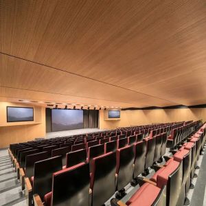 Wholesale Auditorium Ceiling Tile Woodgrain Nano 2/2/0.5mm Microperforated Sound Absorbing Panels from china suppliers