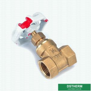 Customized 200 WOG BSPT NPT Big Style Brass Gate Valve With Red White Iron