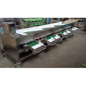 tomato sorting machine, peach grading machine, citrus sorting machine