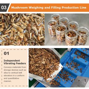 Automatic Packing Machine with 5-50 Bag/min Speed 220V Multi-Head Weigher for