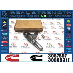Common Rail Diesel Fuel Injector 3411764 3087733 3087807 For Cummins QSN14 N14