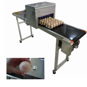 Electronic Smart Eggs Edible Image Printer For Batch Number / Expiration Date