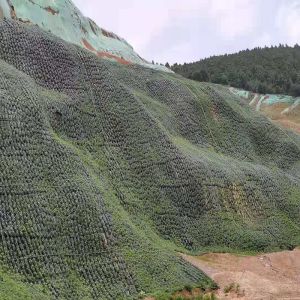 Tenglu Road Slope Protection and Lake Protection Geobag for Ecological
