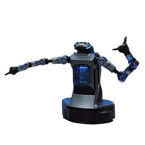 China Ultra-Flexible Secondary Development Industry Service Artificial Intelligence Robot Embodied AI Humanoid Robot on sale