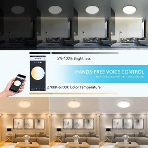24w Tuya Smart Ceiling Light Colorful Rgb Remote Control Smart Light Led Modern