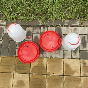 Efficient Durable Poultry Drinker Reliable Source Essential Tool Health Issues