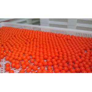 Experimental Round Paintball Encapsulation Machine With HMI Switch / Buttons