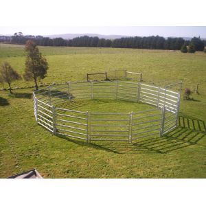 Wholesale Portable Horse Stall Panels 40x40 6 Oval Rails. Locking Pins. , Victoria , Cattle from china suppliers