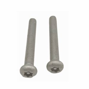 M4x35 Stainless Tamper Proof Screws Machine Screws SUS316 Passivated
