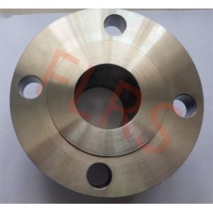 2 Inch Alloy 31 Stainless Steel Raised Face Pipe Flange Welding Neck Smooth