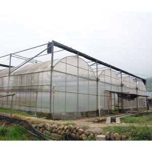 12-15 Meter Tunnel Width IGREEN Large Multi-Span Plastic Greenhouse for Plant