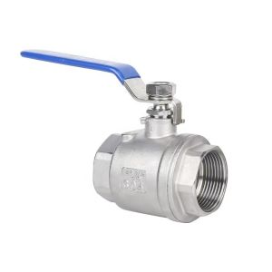 WZ Stainless Steel SS 304 316 NPT BSP Threaded 2PC Ball Valve Customized for