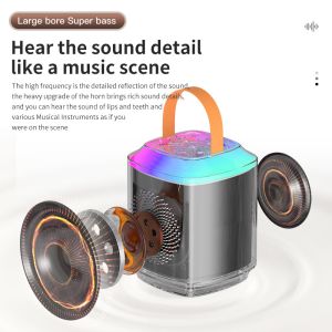 Outdoor DJ Party Karaoke Speaker With Wireless Microphone And Bluetooth