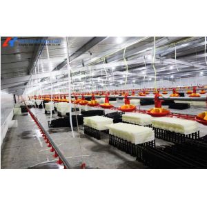 Customized Broiler Chicken Feeding Equipment With Automatic Drinking / Feeding