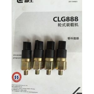 30B0533 Pressure Switch Small Pressure Signal Feedback Device