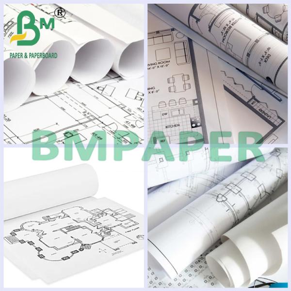 80gsm 24Inch / 36Inch Wide Woodfree CAD Inkjet Plotter Paper Roll 80gsm 24Inch / 36Inch Wide Woodfree CAD Inkjet Plotter Paper Roll