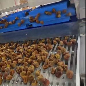 China AI Powered Date Sorting Machine Deep Learning Technology 8 Lanes+8 Outlets , 2.4-2.6T/H,360° Rotating Scanning on sale