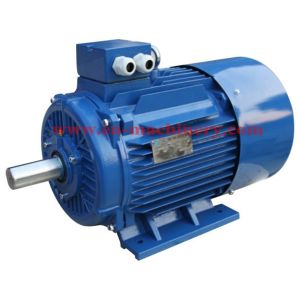AC/DC Synchronous Generator Motor for Crane(CE, TUV, SGS) INVERTER DUTY MOTOR
