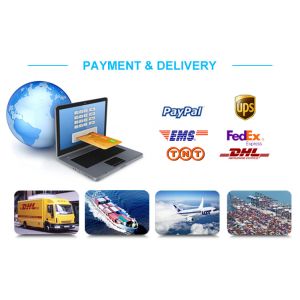 C9200L-24P-4X-E Catalyst 9200L 24-port PoE+ 4x10G Uplink Switch Network