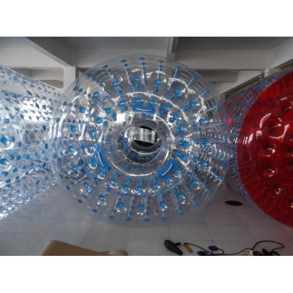 Exciting Inflatable Water Roller