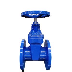 Soft Sealing Elastic Seat DN100 Rising Stem Gate Valve