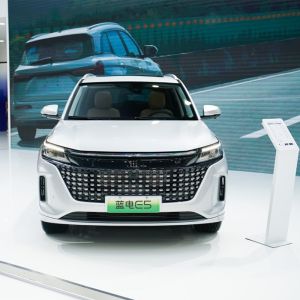 5/7 Seats Front/Rear Wheelbase Electric Vehicle Plug-In Hybrid with 1585/1580mm