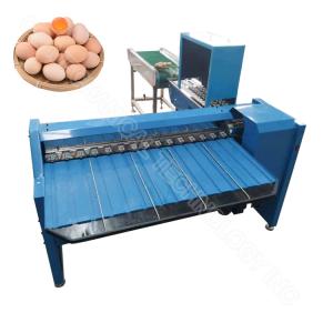 China Automatic Egg Sorter Egg Sorting Grading Machine Portable Egg Sorting Machine on sale