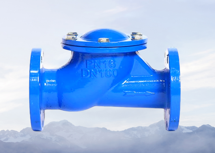 OEM ODM Flange Check Valve PN16 DN100 Ductile Iron Check Valve
