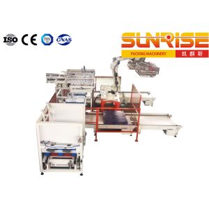 Robot Palletizing System 20 Boxes Per Minute Single Station Robot Palletizer