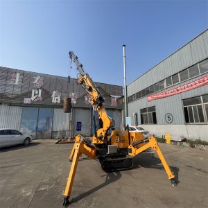 Electric And Diesel Power Spider Crawler Crane Customized 2500kg