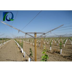 Customized Y Style Open Gable Trellis System Head Trellising Support 5.0MM Thick