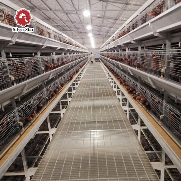 H Type 3 Tiers 4 Tiers Battery Cage For Layer Chicken 45 * 60 * 41cm