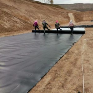 1.0mm HDPE Geomembrane Liner for Geomembranes in Artificial Lake Tank Dam