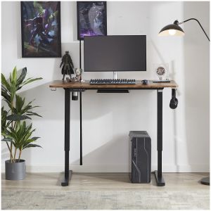 Modern Design Single Motor Electric Height Adjustable Wooden Desk for Student