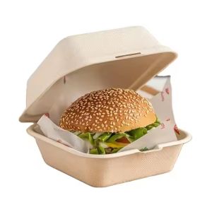 Wholesale Custom Size Biodegradable Clam Shell Boxes of Sugarcane Bagasse for