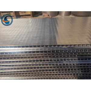 Ss 316l 1.0mm Slot Wedge Wire Screen Panels Support Grid For Carbon Filters