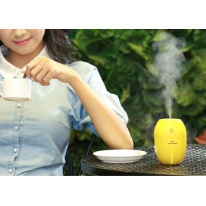 lemon design mini homemade humidifier air cleaner mist spray to moisture skin