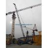 Small Derrick Crane 4 Ton Capacity at 100m Height 30m Luffing Jib Type for sale