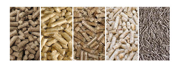 XGJ850 Wood Pellet Mill