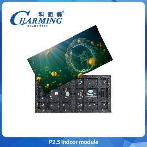 Large Led Screen Indoor Led Video P2.5 Modules China