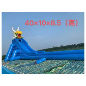 Customized PVC Inflatable Swimming Pool and Slide for Ultimate Water Play