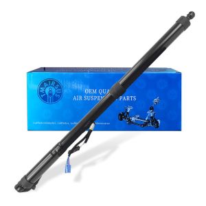 Black Power Liftgate / Automatic Tailgate Lift with Large Shock