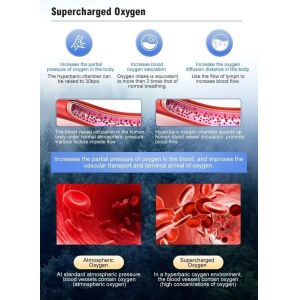 Health Care Hyperbaric Oxygen Chambers Hard Shell Hyperbaric Camera 2.0 Ata