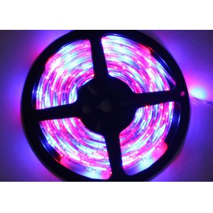 Decorative 150 LEDs SMD 2835 Led Strip RGB Color , CE ROHS Approvals