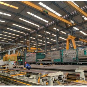 Topkit 12ton Hammer Head Tower Crane 7030-High Economic Benefit!