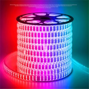 240V/230V/110V/220V RGB 5050 LED Strip Lights for Landscape with Remote IP65