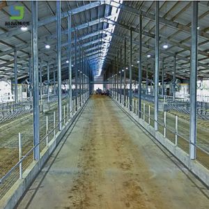 Low Cost Prefab Light Galvanized Fast Assembling Steel Structure Construction