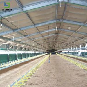 Low Cost Prefab Light Galvanized Fast Assembling Steel Structure Construction
